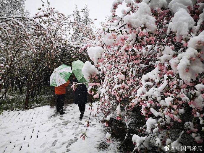 抖音怎么改到海外版苹果:河南普降3月桃花雪，是场好雪吗？中央气象台解答