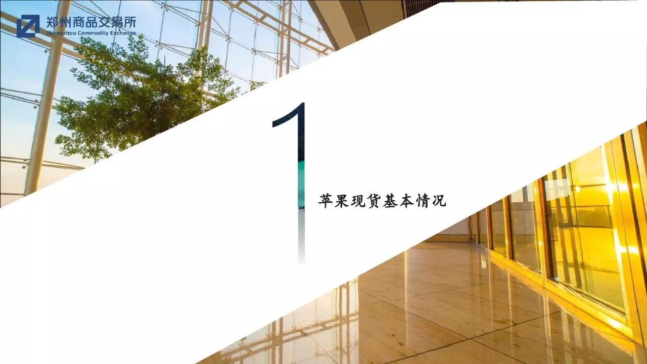 郑州苹果期货新闻视频直播郑州电视台1套新闻频道直播高清