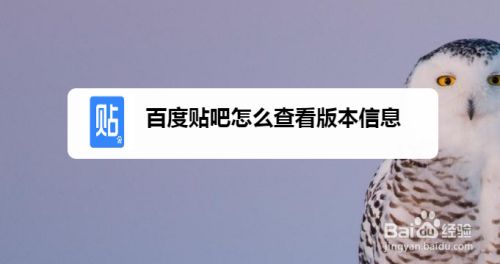 百度贴吧客户端怎么私信百度贴吧为什么看不到私信