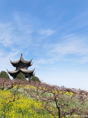 苹果版清语苹果版微信分身-第2张图片-太平洋在线下载